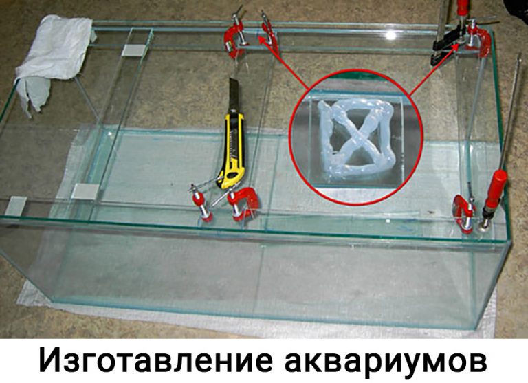 Как сделать аквариум из стекла своими Как сделать аквариум из стекла своими